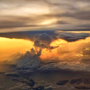 免费欧美一级A片
