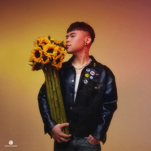 免费欧美一级A片
